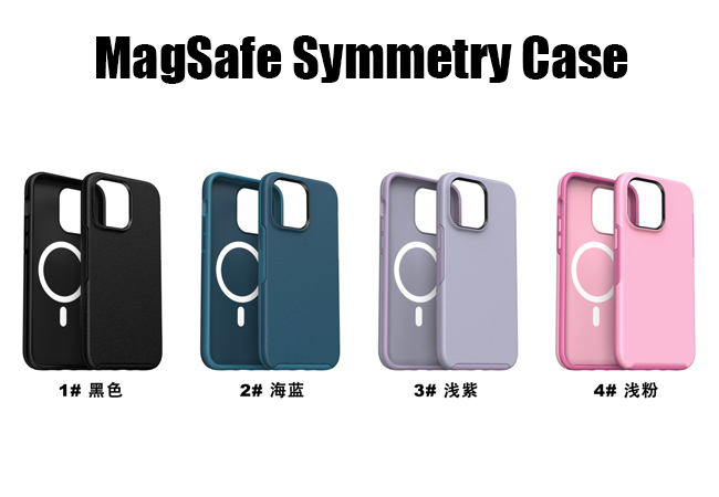 magsafe symmetry case 650x450-4